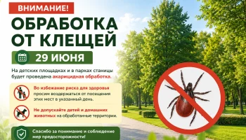 Обработка от клещей пройдет 30 июня: администрация Марьянской предупредила жителей